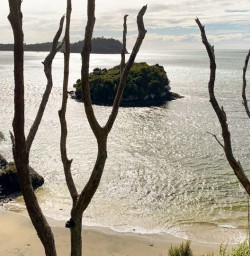 4. Coast views from Rakiura Track