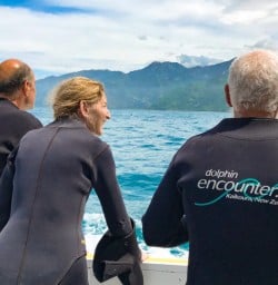 4. Dolphin encounter
