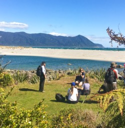 4. Guests enjoy views of Martins Bay