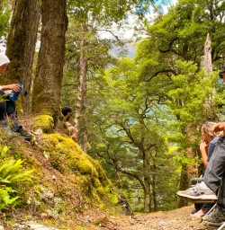 4. Guests in beech forest Siberia Valley