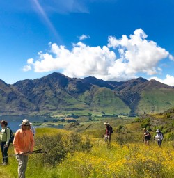4. Guests on Rocky Mountain