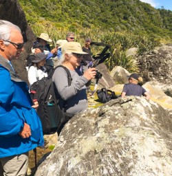 4. Guests taking photos at Martins Bay seal colony