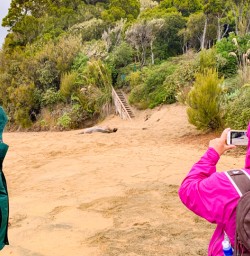4. Guests taking pictures on beach Stewart Island