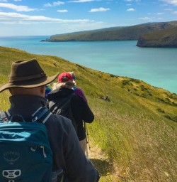 4. Guests walk down Godley Head track