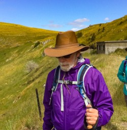 4. Guests walking Godley Head track