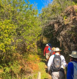 4. Guests walking Mou Waho Island