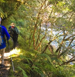 4. Guests walking along Hollyford River