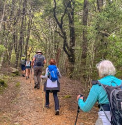 4. Guests walking through native forest Siberia Valley