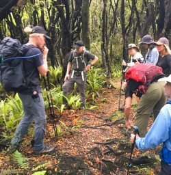 4. Guide and guests in black forest Martins Bay