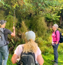 4. Guide sharing local knowledge in Martins Bay