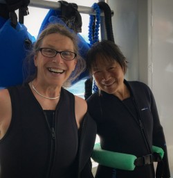 4. Kaikoura dolphin swim