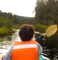 4. Lake Mapourika Kayaking