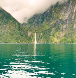4. Milford Sound waterfall views