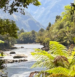 4. Milford Track views