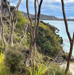 4. Rakiura Track New Zealand Great Walk Adventure