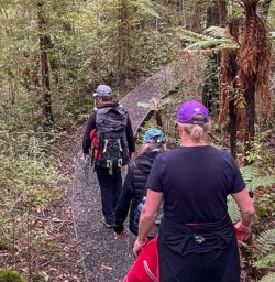 4. Rakiura Track guide and guests walking