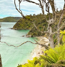 4. Rakiura Track on New Zealand Great Walk Adventure South
