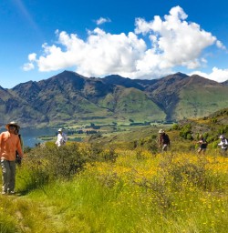 4. Rocky Mountain