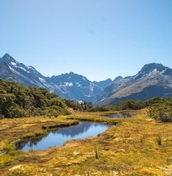 4. Routeburn Track views