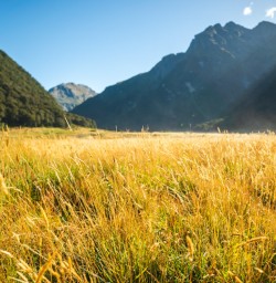 4. Siberia Valley floor