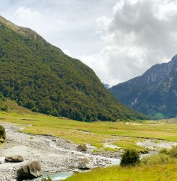4. Siberia Valley views native bush