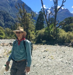 4. Solo guest close to the end on the Hollyford Track