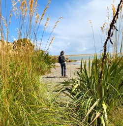4. Solo guest taking in views of Martins Bay