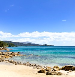 4. Stewart Island beach landscape