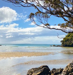 4. Stewart Island looking tropical