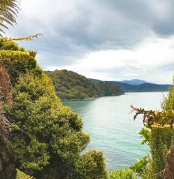 4. Stewart Island