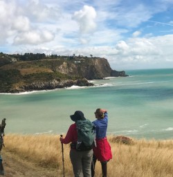 4. Three guests on Godley Head walk