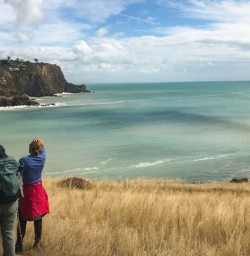 4. Two guests on Godley Head walk