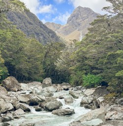 4. Views from the Routeburn Track