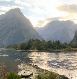 Milford Sound from Milford Track