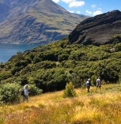 4. Walking across Mou Waho Island views across Lake Wanaka
