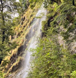 Waterfall on Routeburn Track