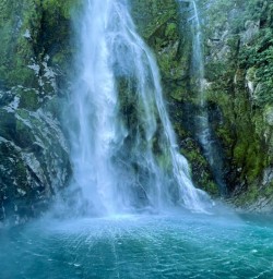 Waterfall milford sound cruise