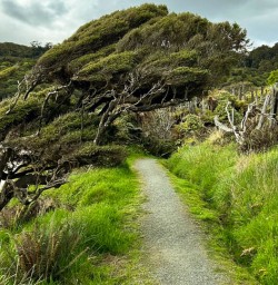 Hiking Stewart Island