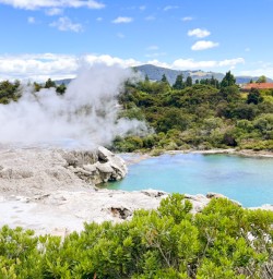 Rotorua hot springs views