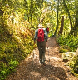 Guest on Kepler Track