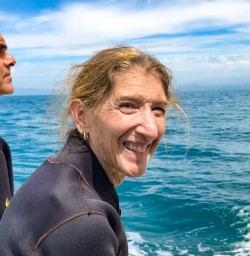 4. Guests on dolphin swim