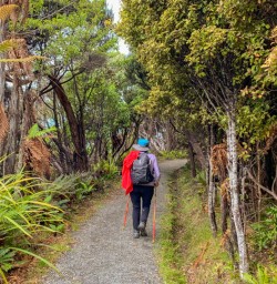 4. Easy trail Rakiura 