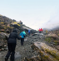 Fox Glacier Hiking