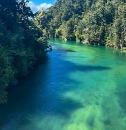 5 Beautiful Blue Green River 11MAR25