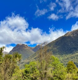 5 Beautiful bush and big mountains Fiordland2