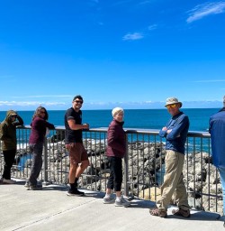 Dolphin Swim in Kaikoura 18 November 2024 1