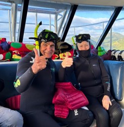 Dolphin Swim in Kaikoura 18 November 2024 2
