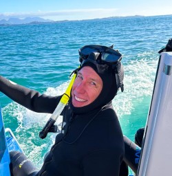 Dolphin Swim in Kaikoura 18 November 2024 5