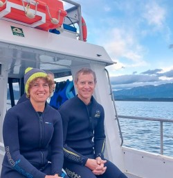 Dolphin Swim in Kaikoura Queen Charlotte Sounds 11 November 2024 6