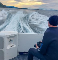 Dolphin Swim in Kaikoura Queen Charlotte Sounds 11 November 2024 7